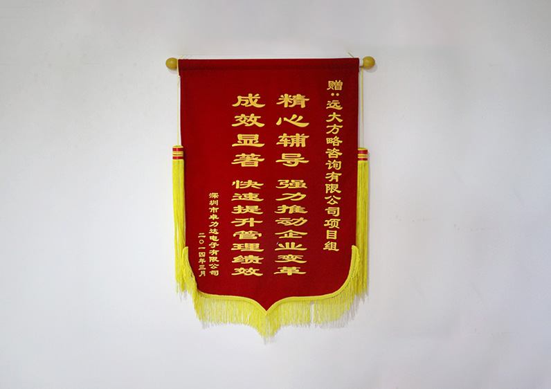 精心輔導(dǎo)，強力推動企業(yè)變革